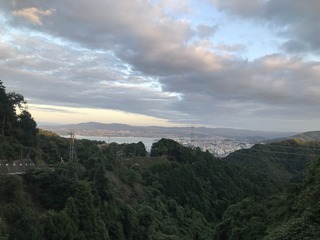 IMG-0114.jpg