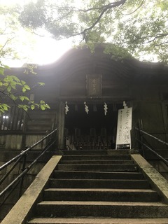 IMG-9571.jpg